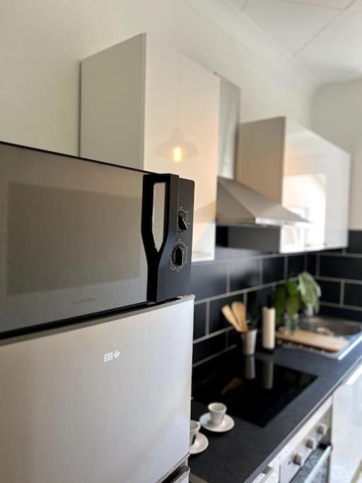 Appartement Cosy Et Lumineux Avec Parking Gratuit 科尔马 外观 照片