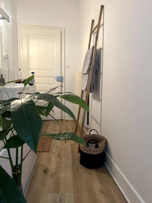 Appartement Cosy Et Lumineux Avec Parking Gratuit 科尔马 外观 照片