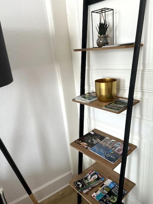Appartement Cosy Et Lumineux Avec Parking Gratuit 科尔马 外观 照片