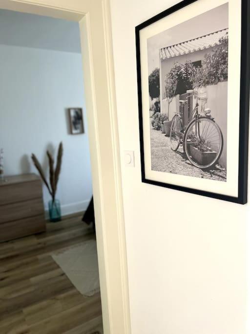 Appartement Cosy Et Lumineux Avec Parking Gratuit 科尔马 外观 照片