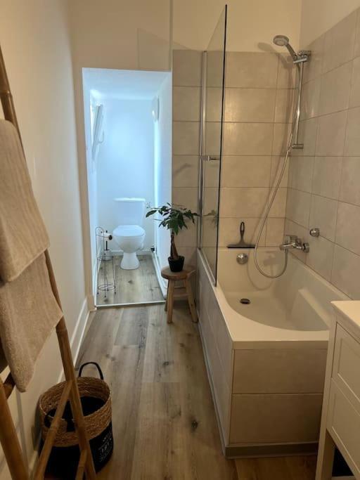 Appartement Cosy Et Lumineux Avec Parking Gratuit 科尔马 外观 照片