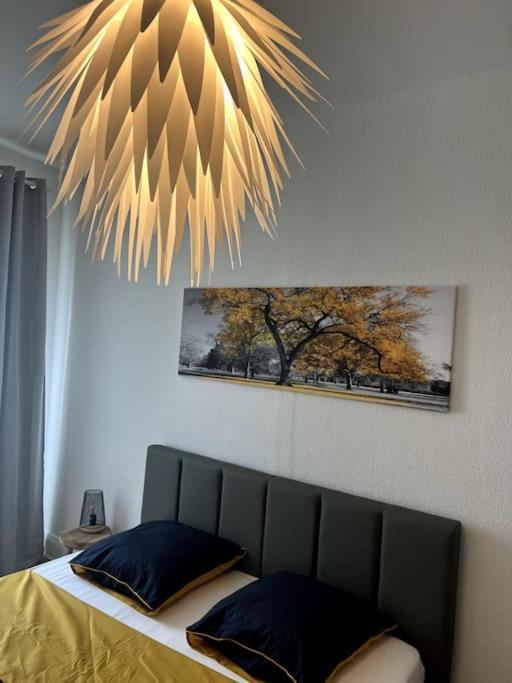 Appartement Cosy Et Lumineux Avec Parking Gratuit 科尔马 外观 照片